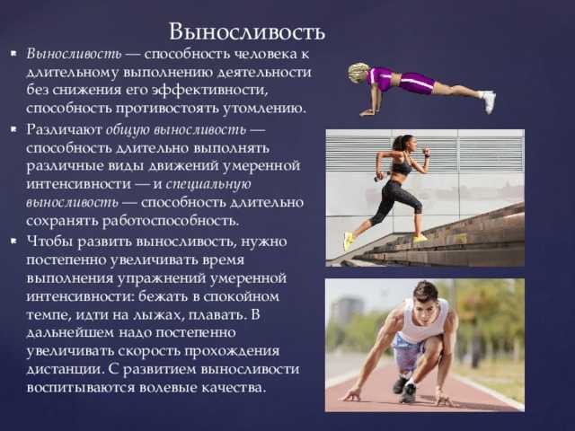 Силовая выносливость: особенности, упражнения и методика развития - tony.ru