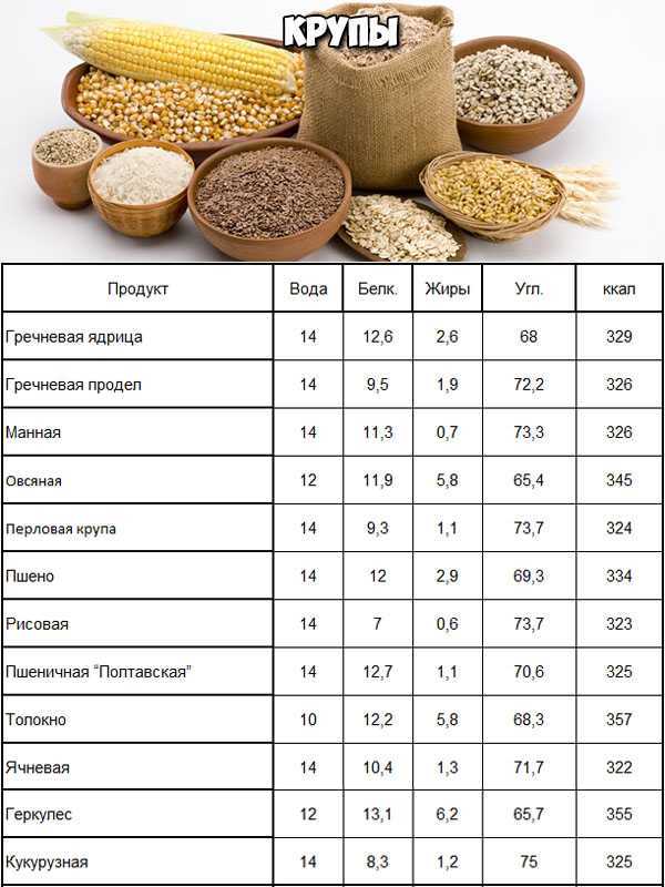 Таблица калорийности продуктов и готовых блюд на 100 грамм скачать