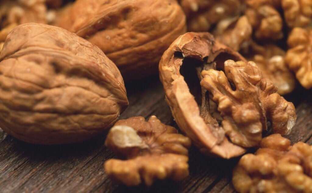 Виды орехов и их польза для здоровья человека