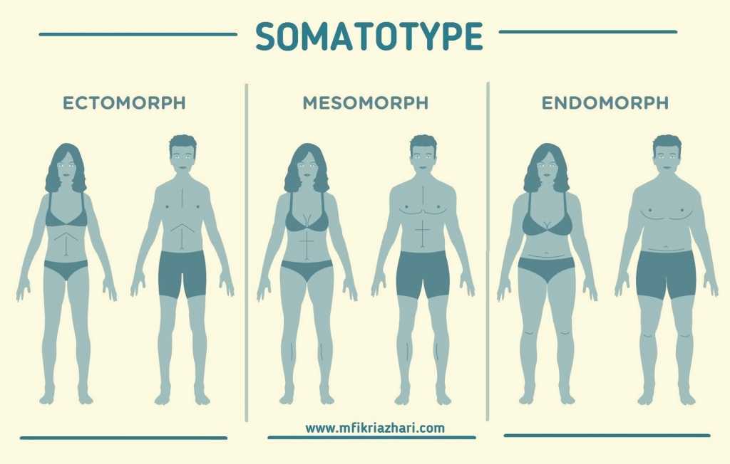 Соматипология: типы людей, определение соматипа и миссии человека