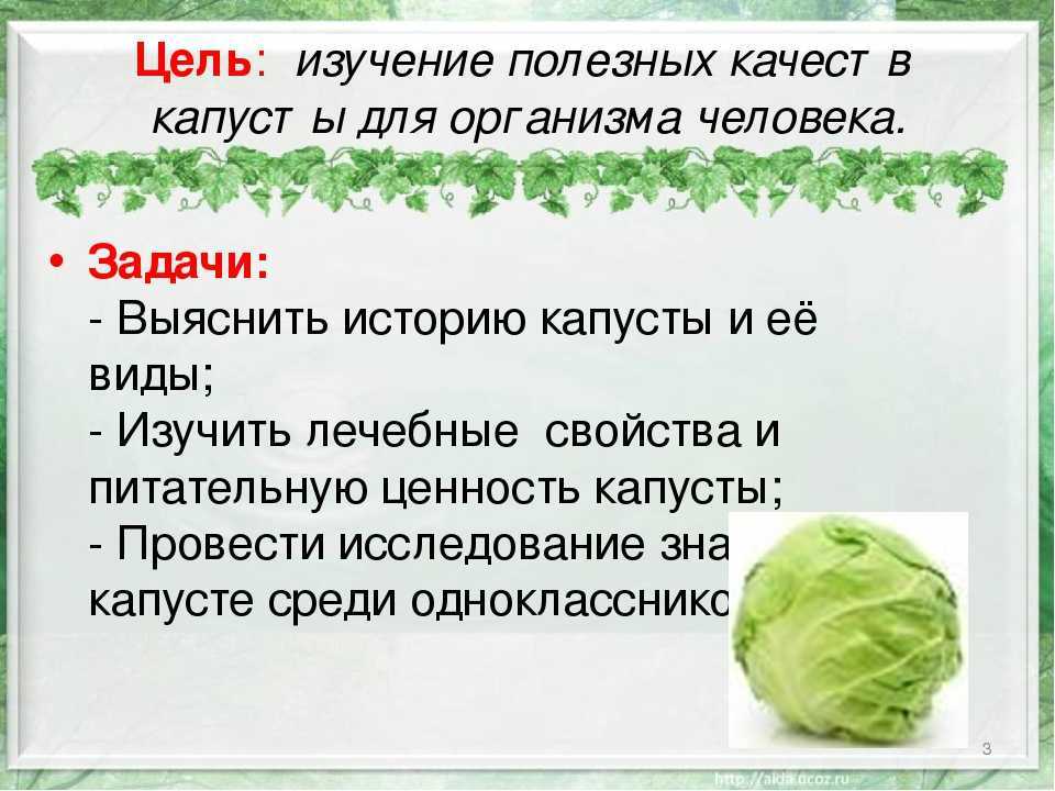 Калорийность цветной капусты: как приготовить правильно, вред цветной капусты и особенности ее применения в рационе питания