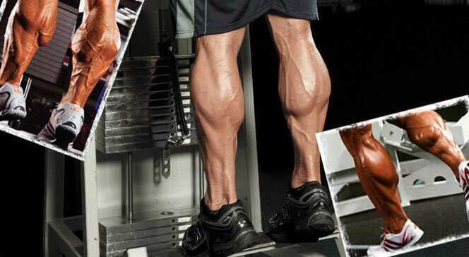 Тренировка ног: как накачать икроножные мышцы (икры ног) девушке и мужчине