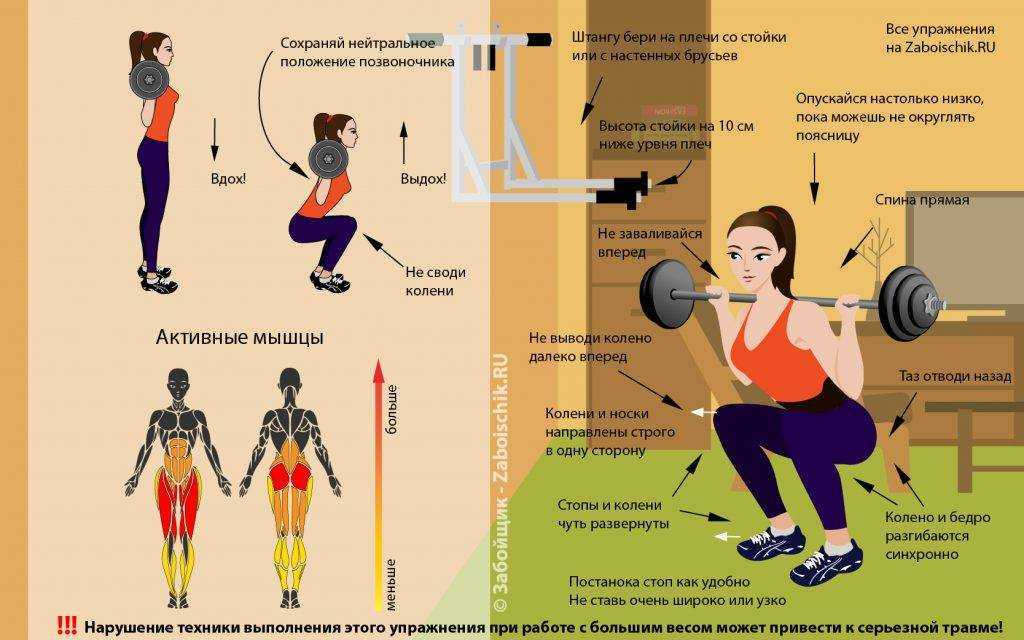 Какие мышцы работают при приседании у женщин и какие качаются у мужчин