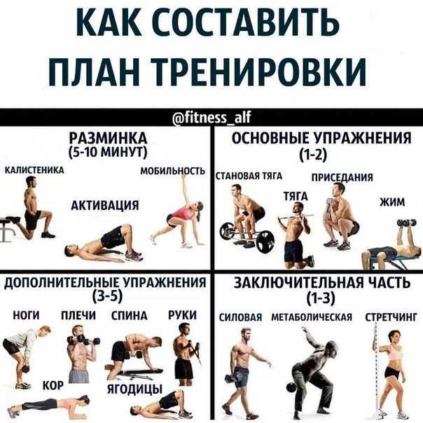 Упражнения на пресс в тренажерном зале: техника выполнения и программа | irksportmol.ru