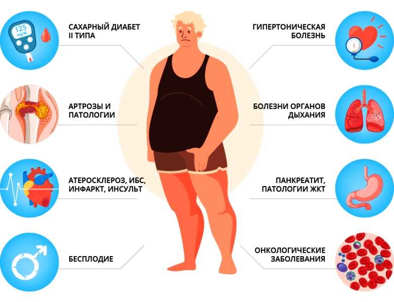 Программа тренировок для похудения: топ самых эффективных комплексов упражнений для сжигания жира!