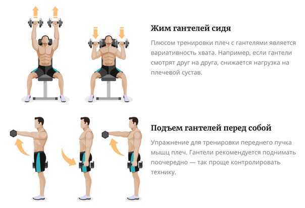 Эффективные упражнения с гантелями для мышц рук | ripa-russia.ru