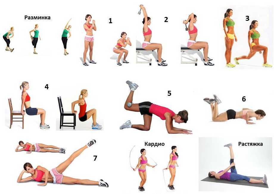 Примерная программа упражнений для женщин с гантелями для эффективных тренировок