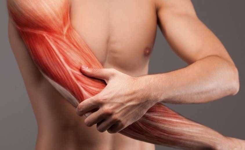 После тренировки болят мышцы: почему и что делать, как снять боль