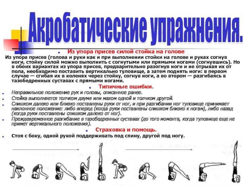 Как научиться стоять на руках: советы для начинающих - tony.ru