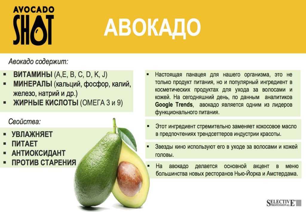 Авокадо - польза и вред для организма, состав, калорийность