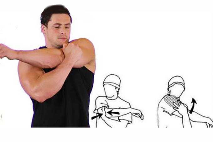 Лучшие упражнения для развития верхнего плечевого пояса в домашних условиях и в зале