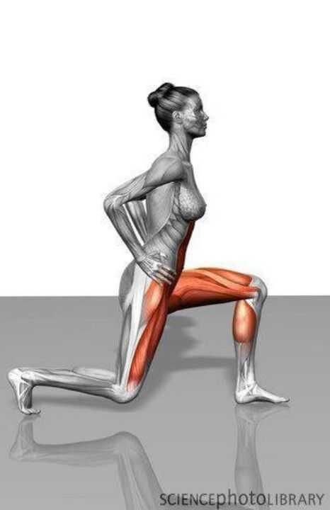 Упражнения для внутренней поверхности бедра женщинам и мужчинам