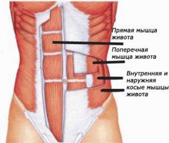 Эффективный комплекс упражнений на развитие пресса для мужчин | rulebody.ru — правила тела