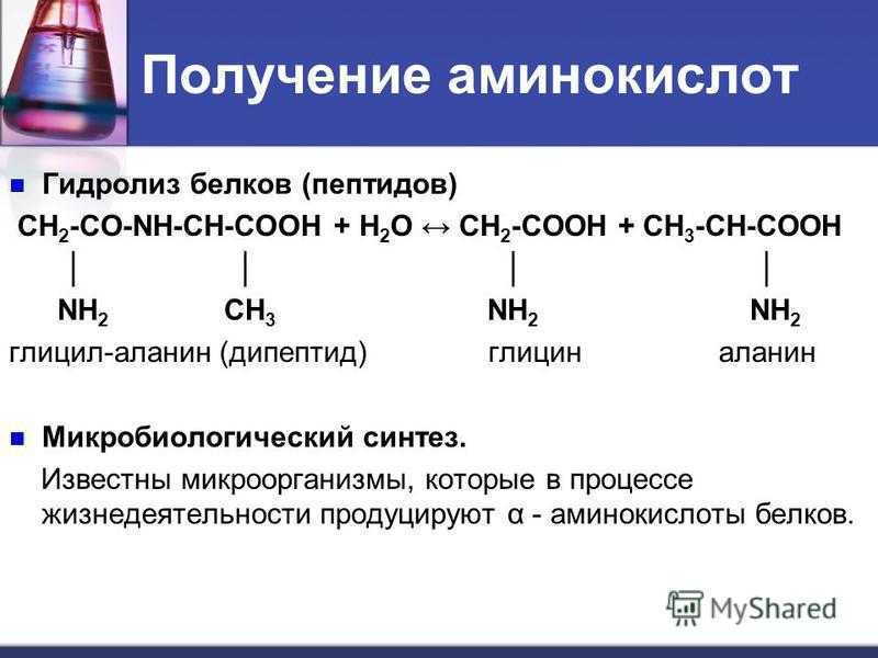 Аминокислоты - свойства и польза для организма
