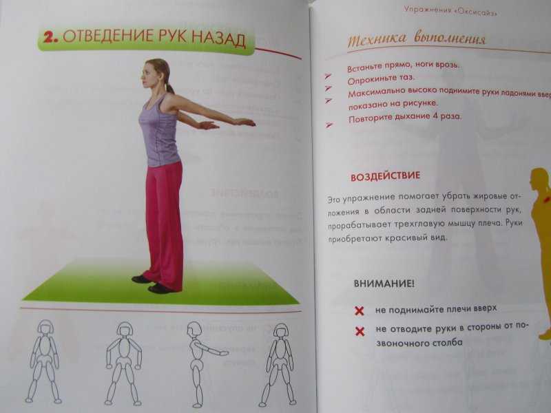 Бодифлекс для похудения: комплекс упражнений для начинающих