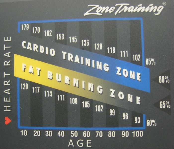 Кардио тренировка — виды кардио упражнений и кардиотренировок