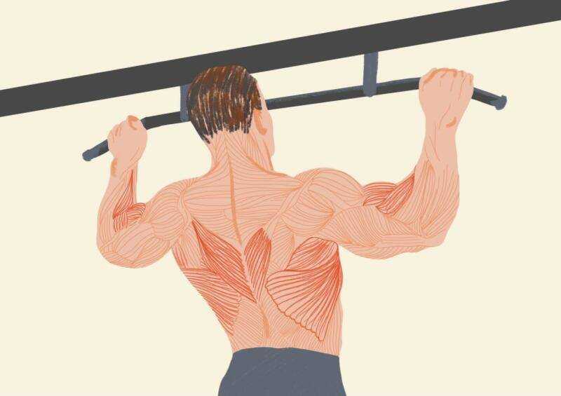 Киппинг подтягивания раскачают ваши широчайшие мышцы спины и бицепсы