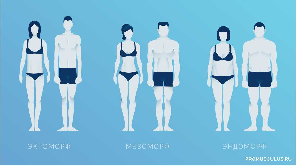 Питание для мезоморфа для набора массы и похудения: рацион и программа