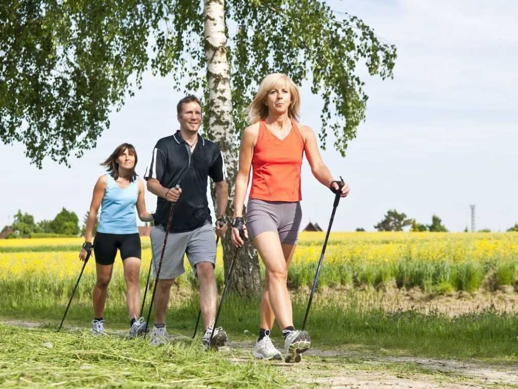 Научные данные: почему ходьба — самое полезное упражнение — cmt научный подход