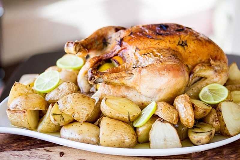 Что можно приготовить из курицы: 7 самых вкусных рецептов блюд | playboy