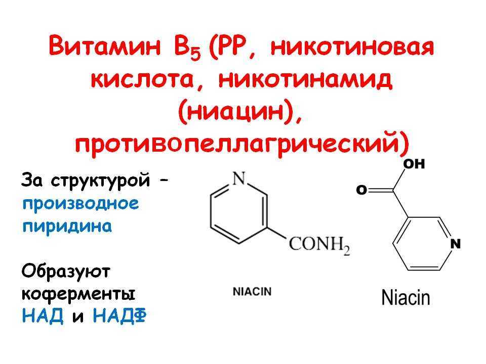 Ниацин (витамин b3) – всё, что нужно о нём знать
