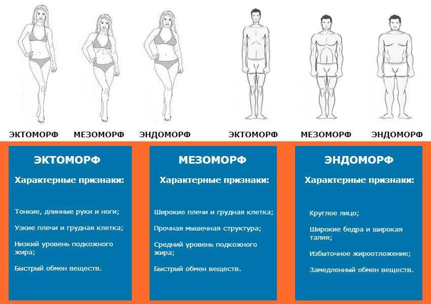 Эктоморф, мезоморф, эндоморф: связь телосложения с психическими особенностями, болезнями и поведением