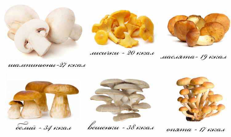 Калорийность и состав овощей, зелени и грибов
