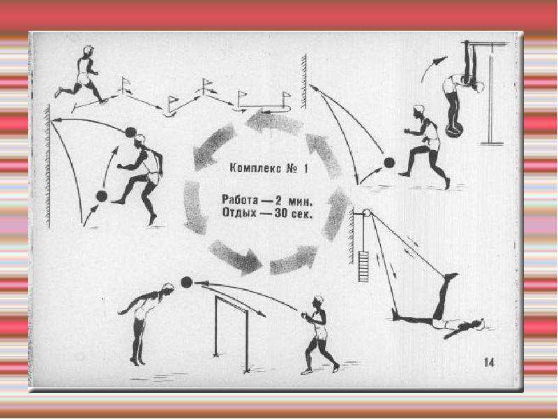Круговая тренировка – эффективность, упражнения, физиология