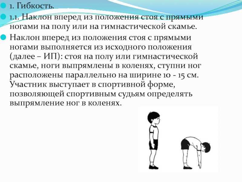 Наклоны туловища вперед из положения стоя