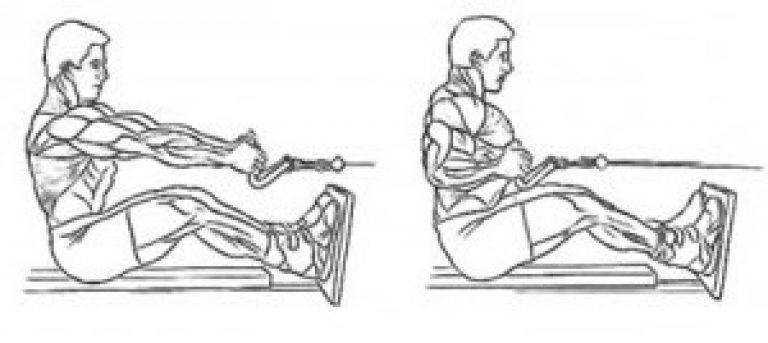 Рычажная тяга — упражнение для мышц спины в тренажере хаммер