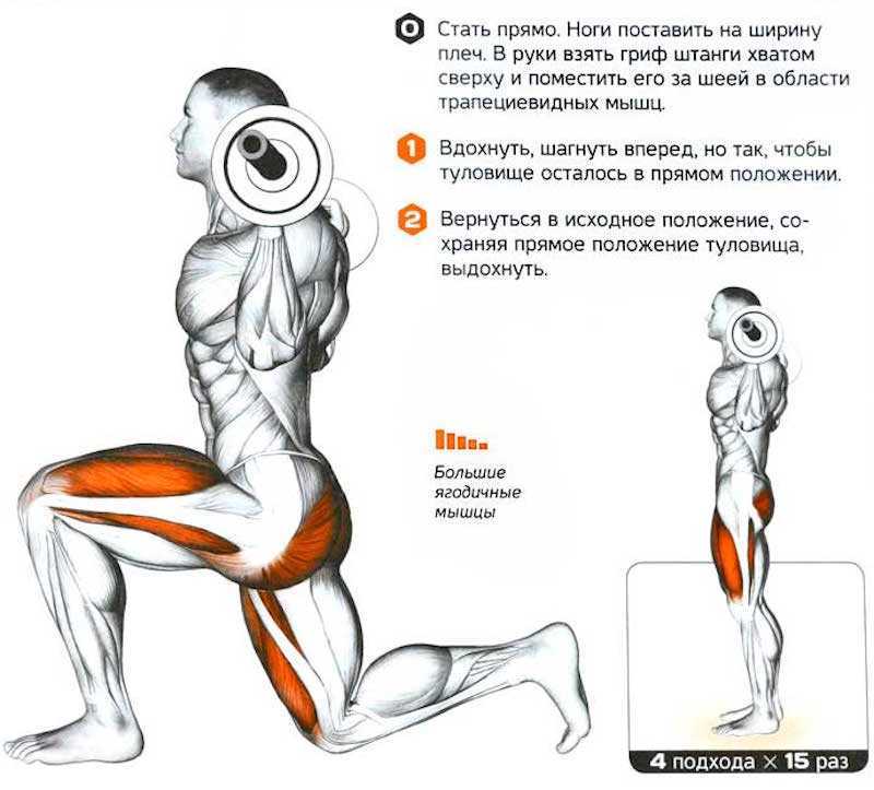 Приседания со штангой на плечах: разбор техники выполнения | rulebody.ru — правила тела