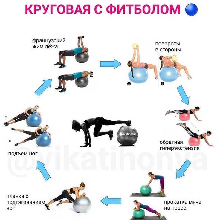Упражнения и мышцы.