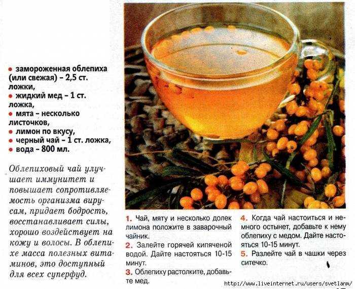 Облепиховый чай – целебный напиток долголетия