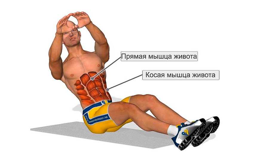 Упражнение «ножницы» для укрепления нижней части тела и похудения
