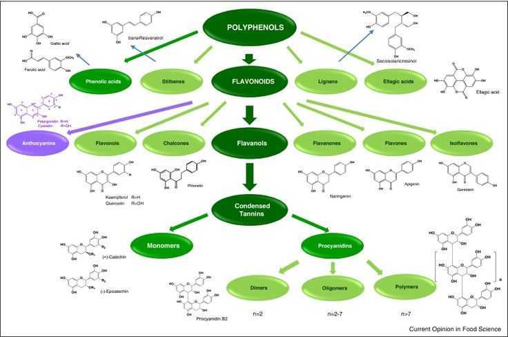 Антиоксидантное действие полифенолов и природных фенолов - antioxidant effect of polyphenols and natural phenols