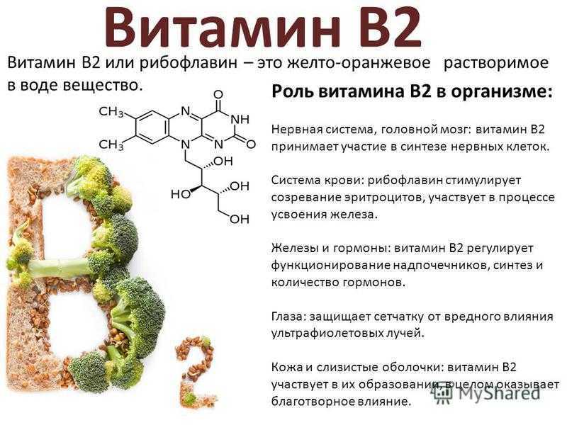 Что такое витамин B2 рибофлавин, его характеристики и свойства Применение и необходимость в спорте, суточная норма в зависимости от пола, дефицит и препараты