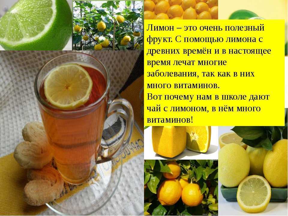 Лимонная вода: польза и свойства. как пить лимонную воду