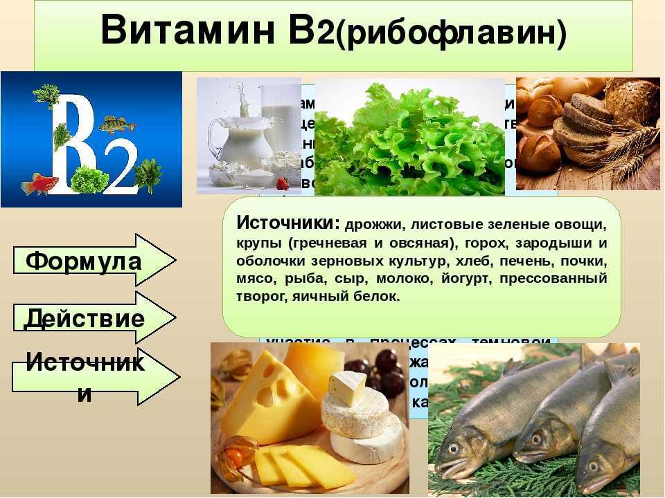 Содержание витамина в2 в продуктах