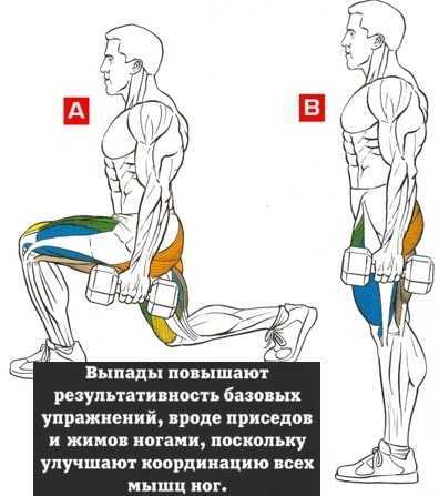 Как качать ноги: суперэффективные упражнения для мышц ног