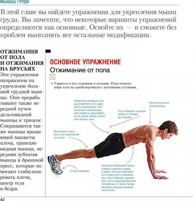 Обратные отжимания от скамьи и пола: тренировка трицепсов | rulebody.ru — правила тела