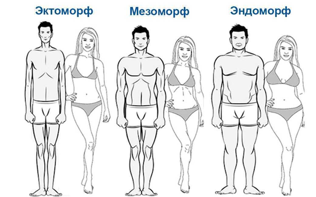Эктоморф, мезоморф, эндоморф - как определить тип телосложения у мужчин и женщин