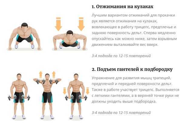 Комплекс упражнений на трицепс с гантелями для домашних условий | rulebody.ru — правила тела