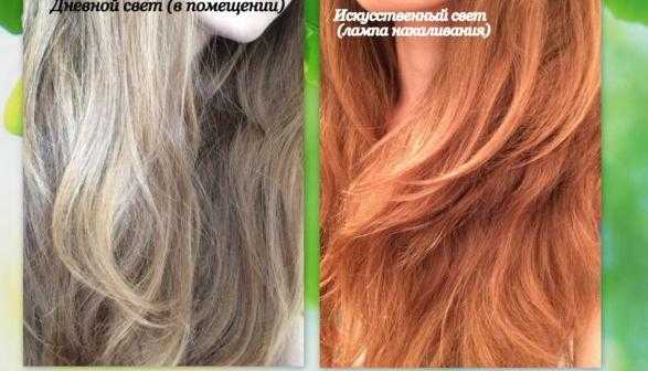 Ополаскивание волос ромашкой: правила приготовления препаратов