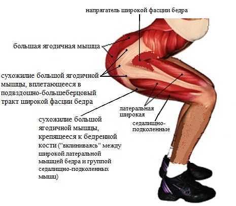 Упражнения на заднюю поверхность бедра: как укрепить мышцы дома и в зале | xn--90acxpqg.xn--p1ai