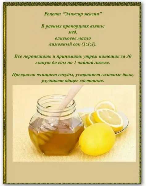 ✸ оливковое масло для волос ✸ 7 рецептов красоты✸