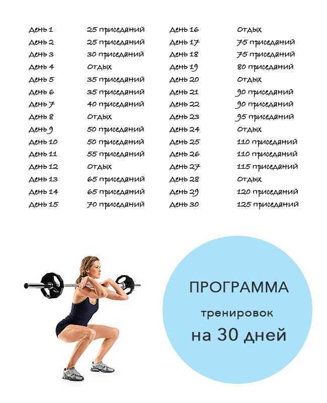 Фитнес для начинающих — что нужно знать и как выбрать программу тренировок? - жизнь в москве - молнет.ru