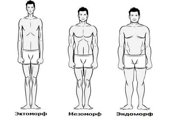 Эктоморф: кто это, какое у них телосложение и как определить?