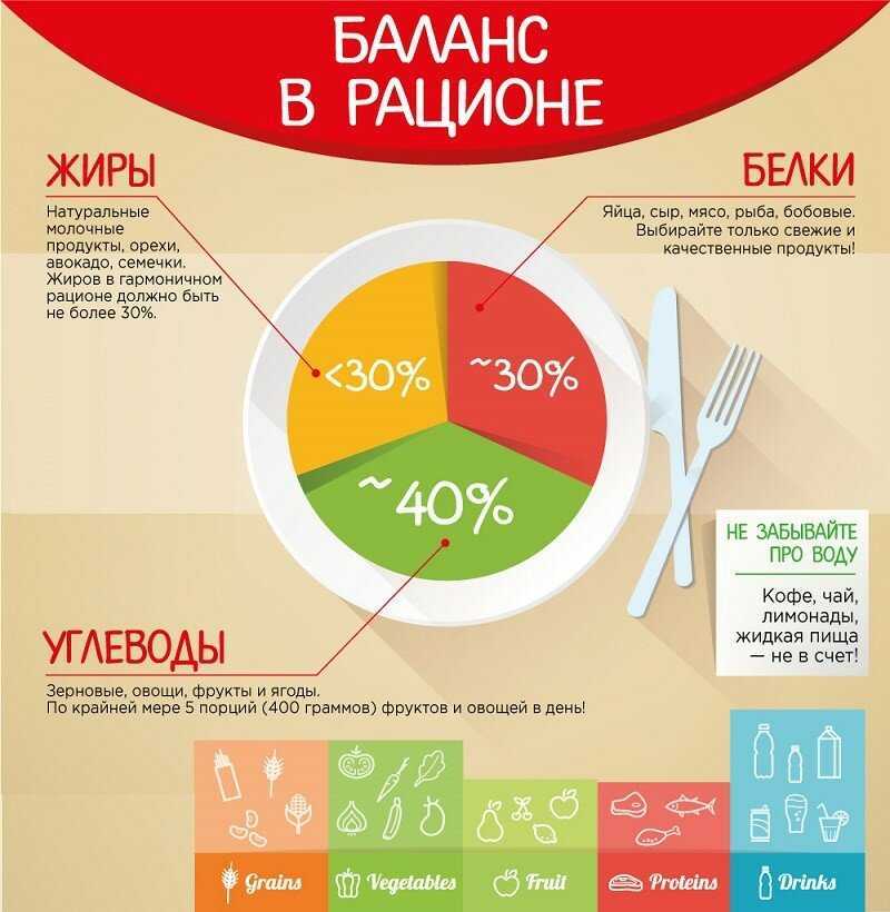 Таблица калорийности продуктов и готовых блюд на 100 грамм полная версия | alkopolitika.ru
