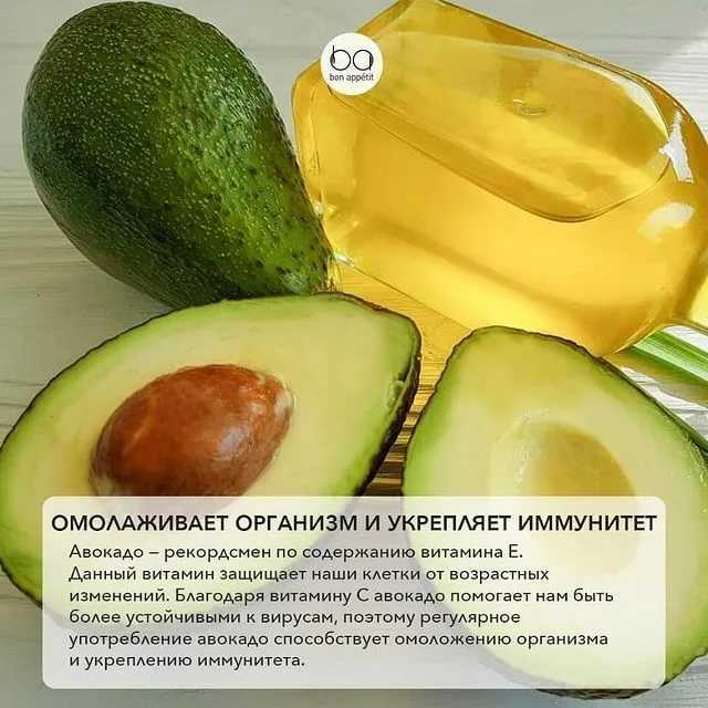 Польза, вред, калорийность авокадо на 100 грамм, в 1 шт. – хорошие привычки