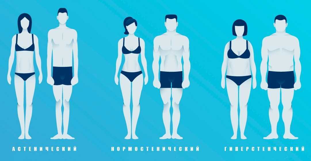 Эктоморф с лишним весом и животом — как правильно худеть?